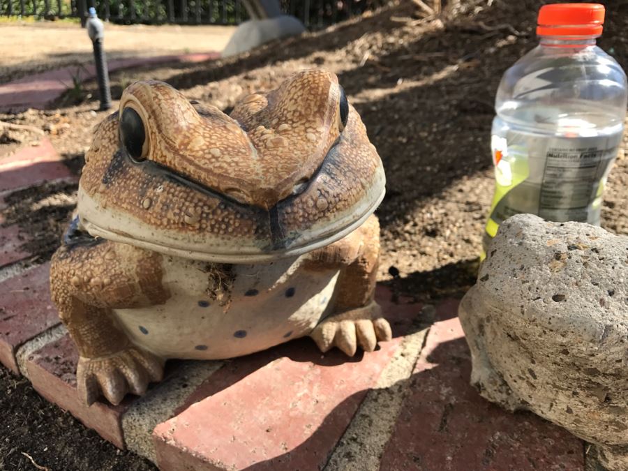 JUST ADDED - (3) Garden Frog Statues Lawn Ornaments [Photo 12]