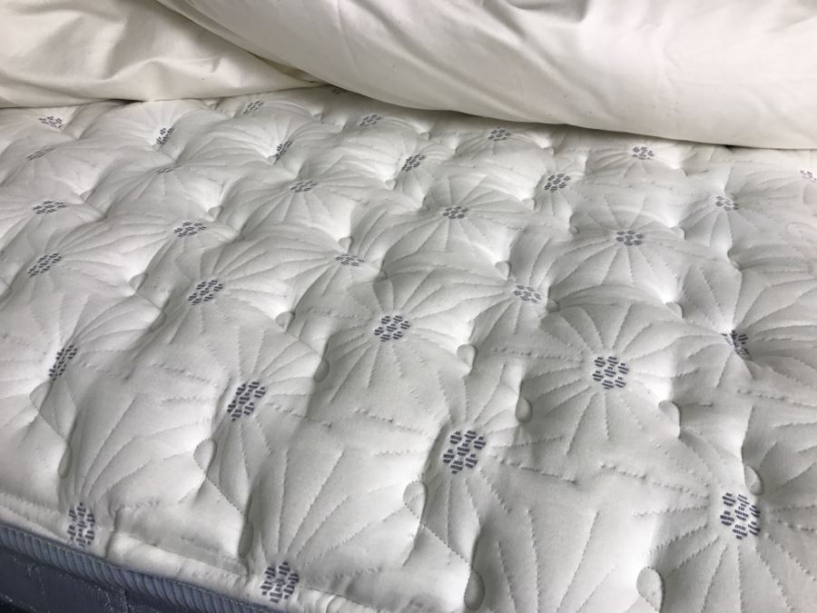 Never Used Cal King Serta Mattress Smart Surface With Headboard Bedframe And Vida by Eva Mendes Comforter And Down Comforter - Guest Room [Photo 3]