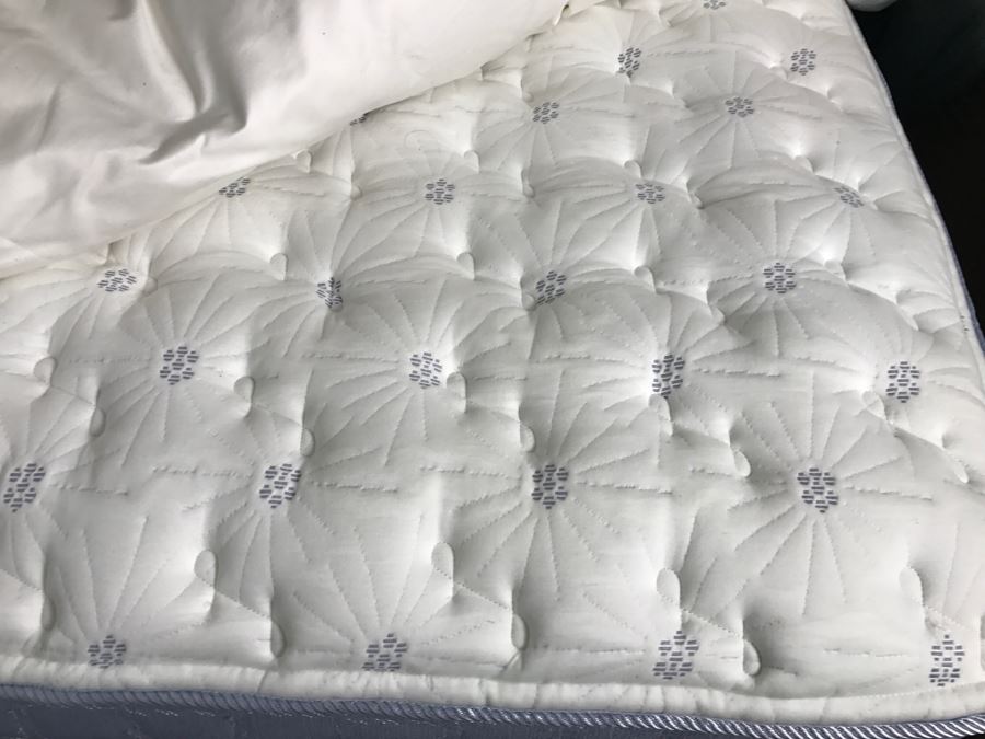 Never Used Cal King Serta Mattress Smart Surface With Headboard Bedframe And Vida by Eva Mendes Comforter And Down Comforter - Guest Room [Photo 9]
