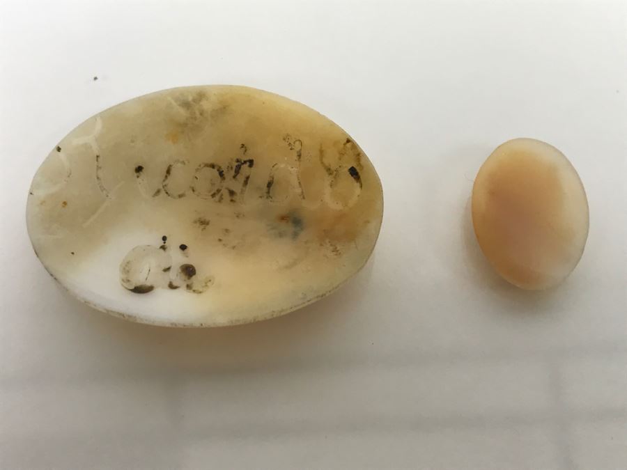 JUST ADDED - Pair Of Carved Shell Cameos - Larger Is Signed 6.2g [Photo 2]