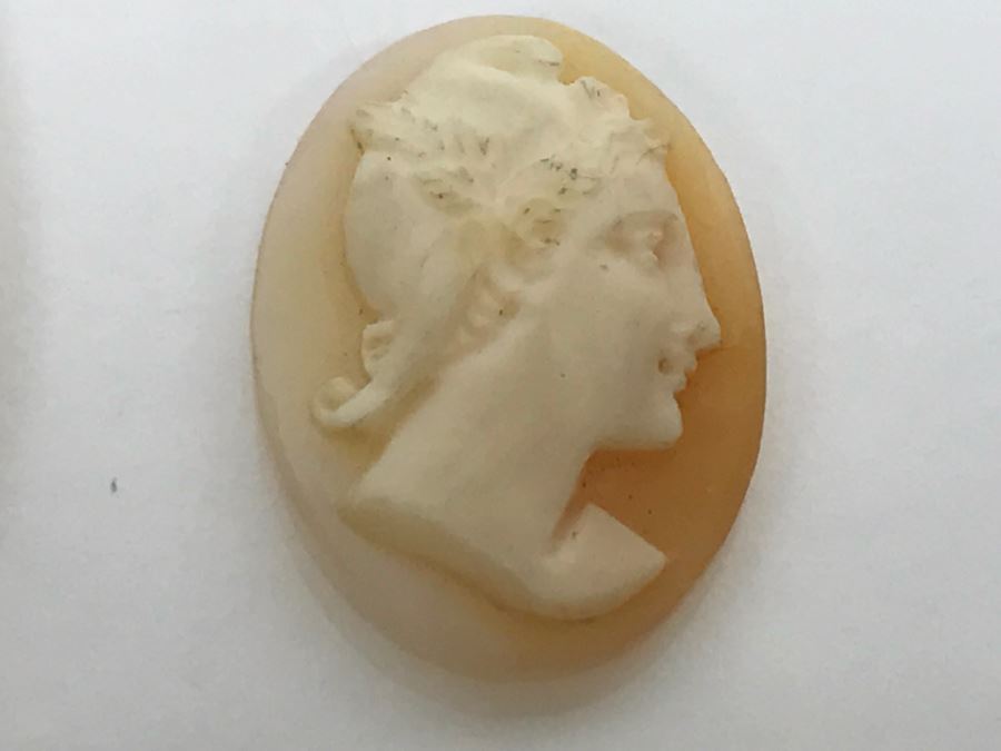 JUST ADDED - Pair Of Carved Shell Cameos - Larger Is Signed 6.2g [Photo 8]