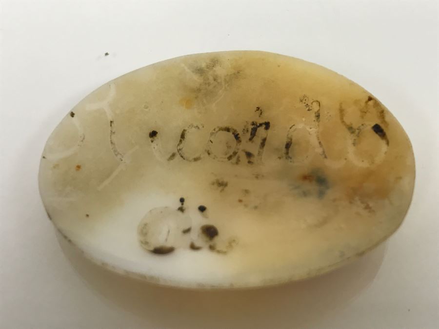 JUST ADDED - Pair Of Carved Shell Cameos - Larger Is Signed 6.2g [Photo 14]