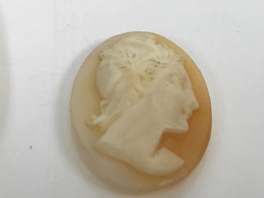JUST ADDED - Pair Of Carved Shell Cameos - Larger Is Signed 6.2g [Photo 7]