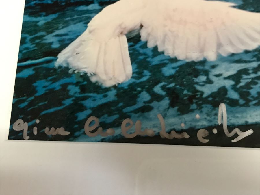 JUST ADDED - 1950s High Profile European Italian Actress Luigina 'Gina' Lollobrigida Hand Signed Digitally Enhanced Photograph Art Piece In Frame 26'W X 21'H [Photo 7]