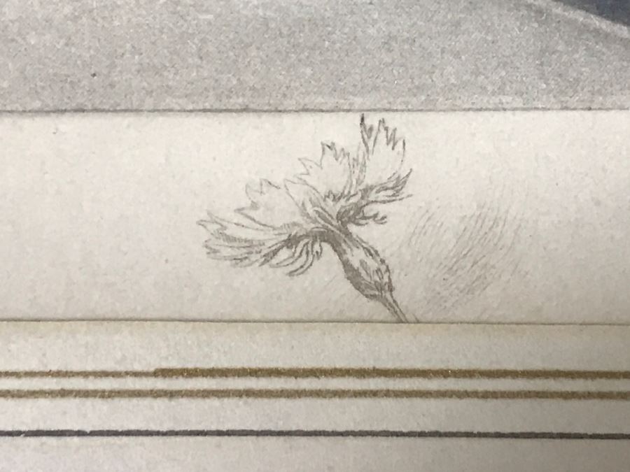 JUST ADDED - Framed Print Portrait Of Lady Betty Campton 15' X 18' [Photo 8]