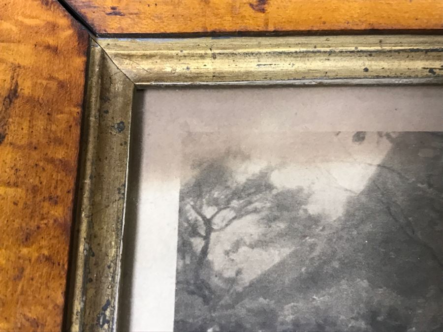 JUST ADDED - Print Titled 'The Sunshine Of His Heart' By Fred Morgan C.W. Faulkner & Co In Stunning Vintage Birds Eye Maple Frame 22' X 17' [Photo 10]