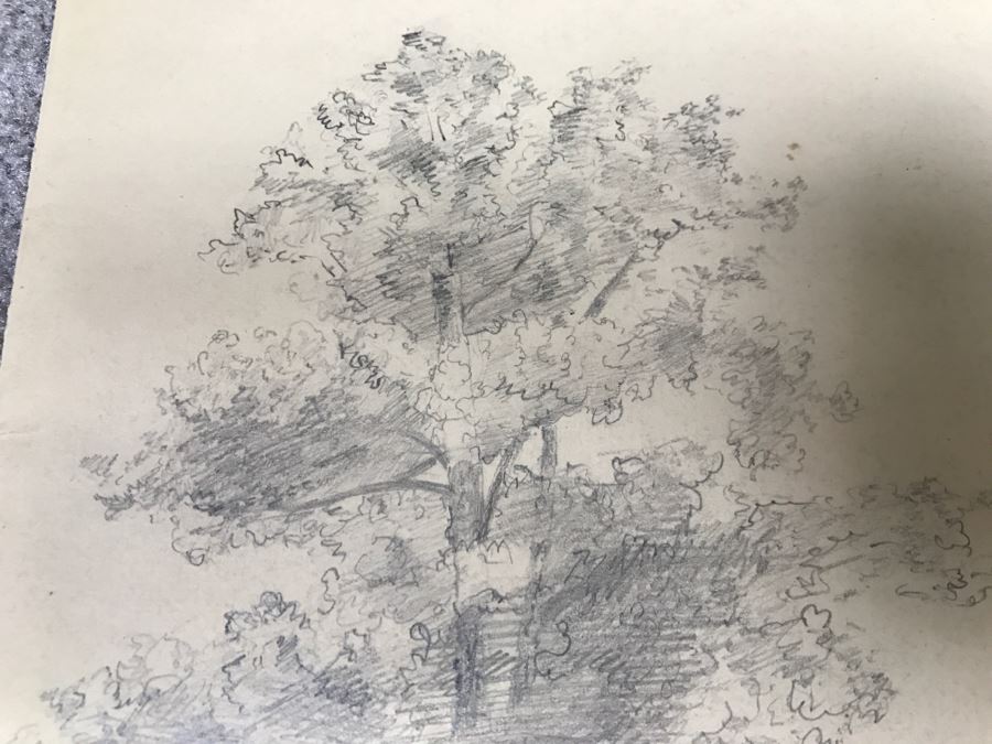 JUST ADDED - (3) Vintage 1858 Original Pencil Sketches Of Trees By Helen Mitchell (On 2 Papers) [Photo 9]