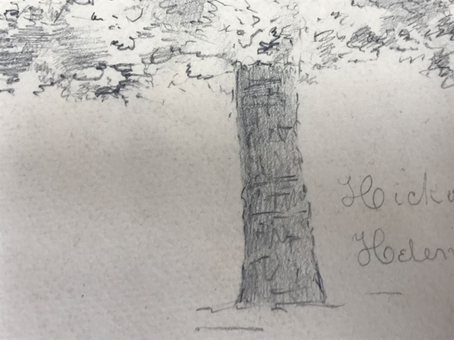JUST ADDED - (3) Vintage 1858 Original Pencil Sketches Of Trees By Helen Mitchell (On 2 Papers) [Photo 4]