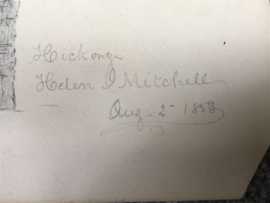 JUST ADDED - (3) Vintage 1858 Original Pencil Sketches Of Trees By Helen Mitchell (On 2 Papers) [Photo 3]