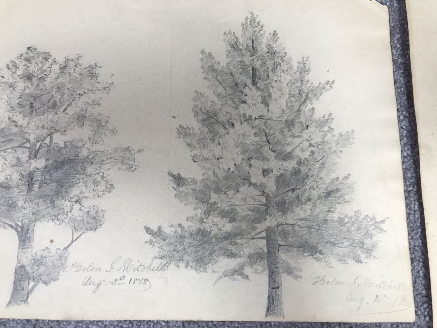 JUST ADDED - (3) Vintage 1858 Original Pencil Sketches Of Trees By Helen Mitchell (On 2 Papers) [Photo 11]
