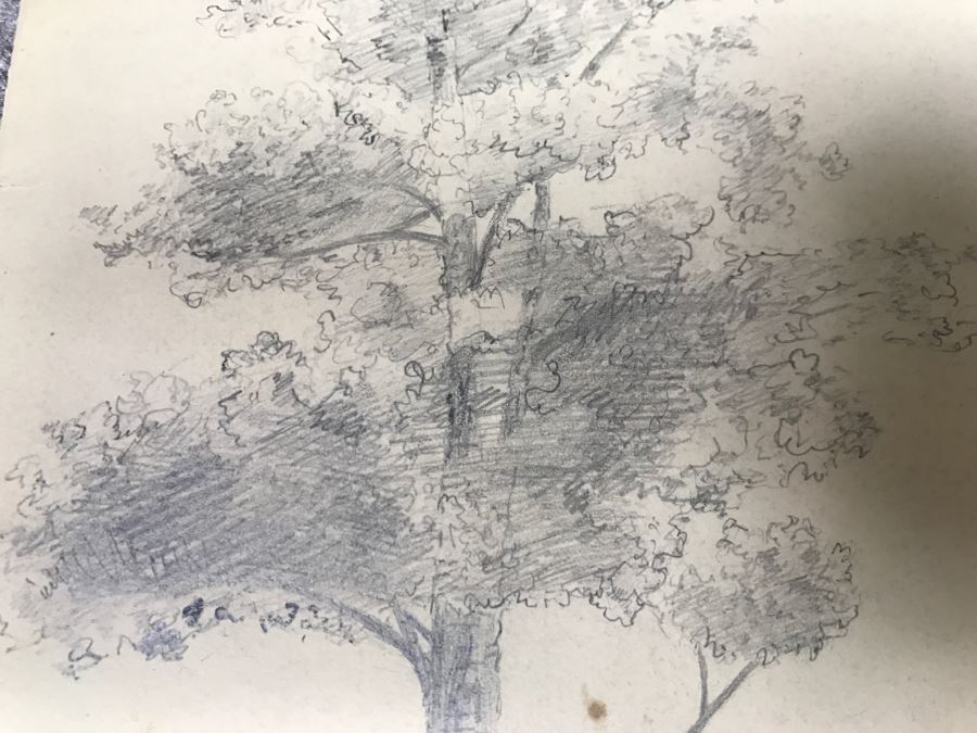 JUST ADDED - (3) Vintage 1858 Original Pencil Sketches Of Trees By Helen Mitchell (On 2 Papers) [Photo 8]