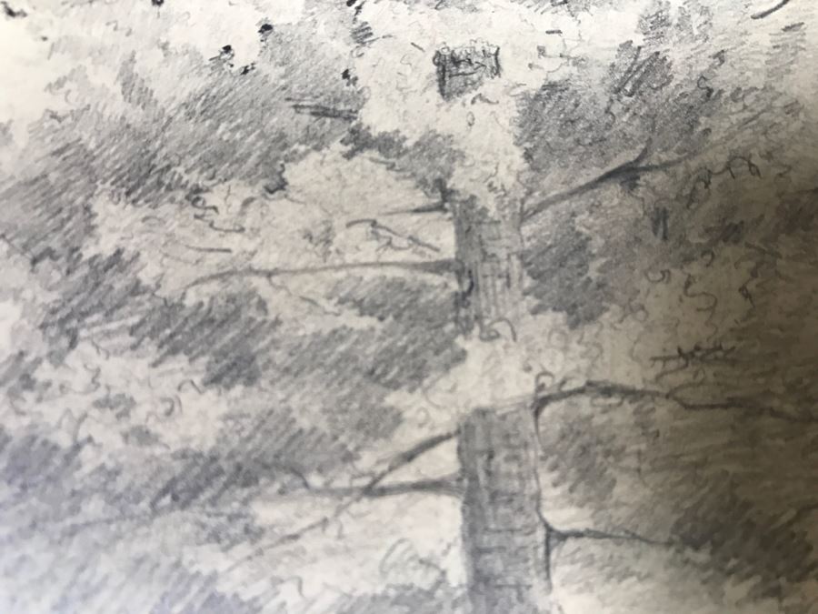 JUST ADDED - (3) Vintage 1858 Original Pencil Sketches Of Trees By Helen Mitchell (On 2 Papers) [Photo 13]