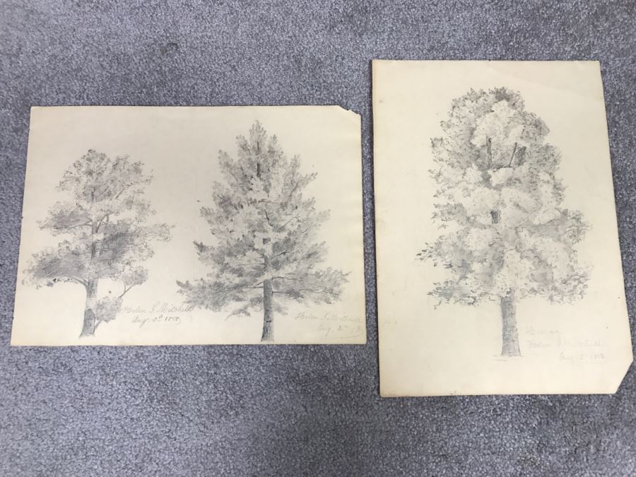 JUST ADDED - (3) Vintage 1858 Original Pencil Sketches Of Trees By Helen Mitchell (On 2 Papers) [Photo 1]
