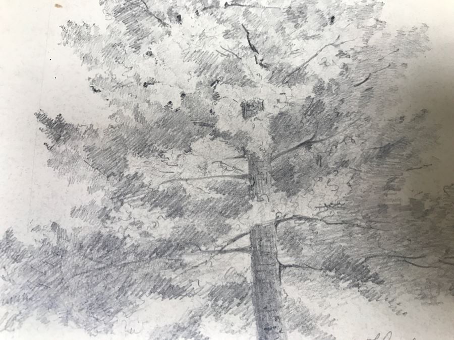 JUST ADDED - (3) Vintage 1858 Original Pencil Sketches Of Trees By Helen Mitchell (On 2 Papers) [Photo 12]