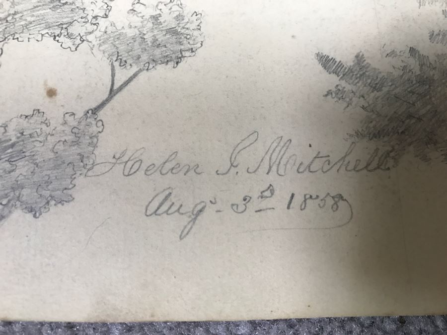 JUST ADDED - (3) Vintage 1858 Original Pencil Sketches Of Trees By Helen Mitchell (On 2 Papers) [Photo 10]