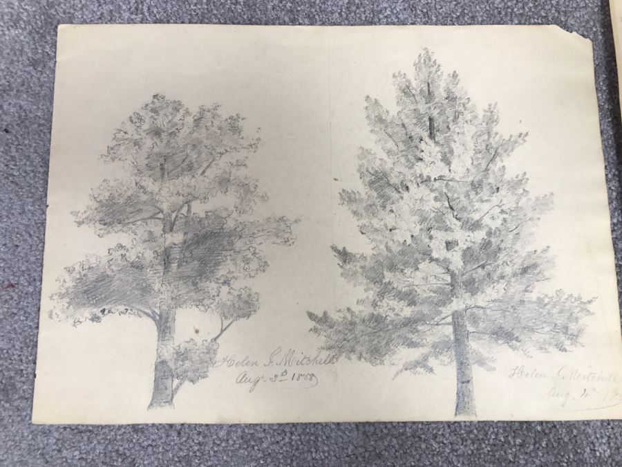 JUST ADDED - (3) Vintage 1858 Original Pencil Sketches Of Trees By Helen Mitchell (On 2 Papers) [Photo 6]