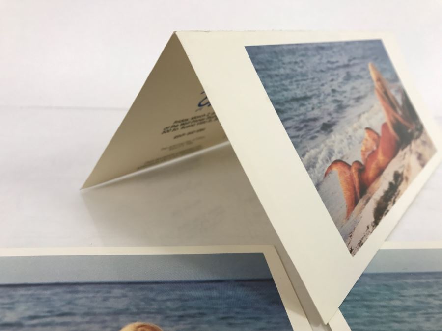 Various Ephemeral Items From The 1983/84 Movie 'Splash' Touchstone Films Including Ticket For Advanced Screening Tom Hanks, Daryl Hannah [Photo 11]