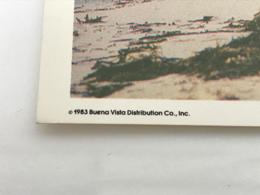 Various Ephemeral Items From The 1983/84 Movie 'Splash' Touchstone Films Including Ticket For Advanced Screening Tom Hanks, Daryl Hannah [Photo 15]