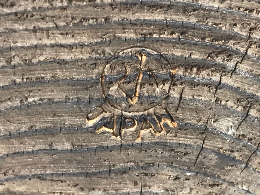 Signed Japanese Wooden Carved Bear 6' Tall [Photo 11]