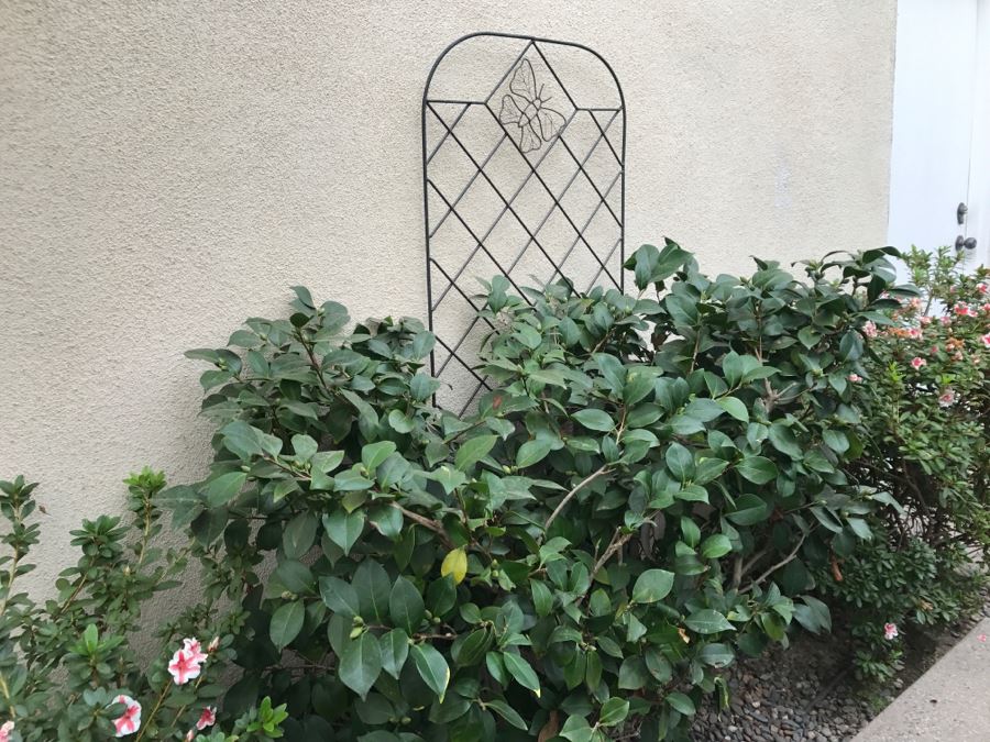 Metal Garden Trellis Butterfly Motif [Photo 2]