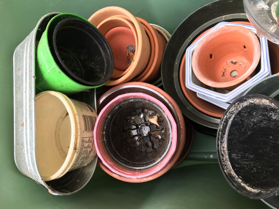 Tub With Plant Pots And Birdhouse [Photo 2]