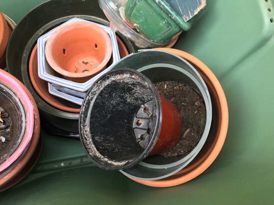 Tub With Plant Pots And Birdhouse [Photo 3]