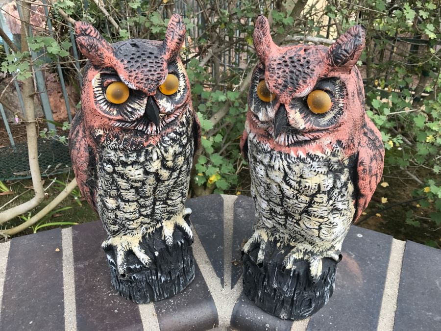 Pair Of Weathered Plastic Outdoor Owls [Photo 2]