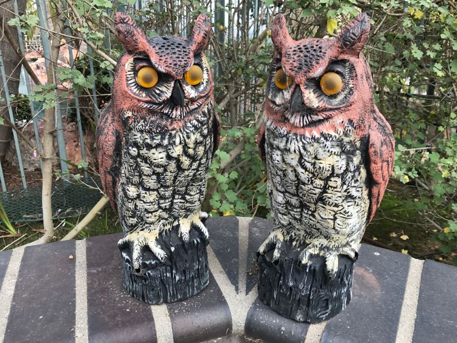 Pair Of Weathered Plastic Outdoor Owls [Photo 1]