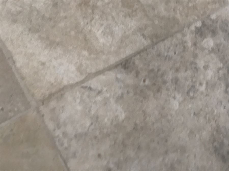 Original Hannes Rosenow Mid-Century Oil Painting On Canvas German Painter 1925-2000 [Photo 17]