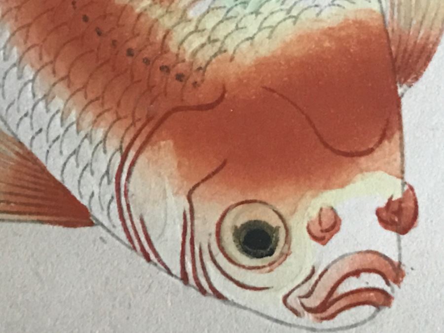 Original Signed Japaneses Painting Of Koi Fish [Photo 7]