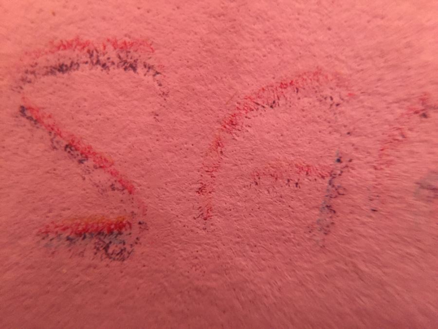 Framed Peter Max Still Life Print HAND SIGNED AND PERSONALIZED WITH FRAME BY PETER MAX 11' X 14' [Photo 9]