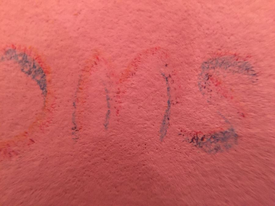 Framed Peter Max Still Life Print HAND SIGNED AND PERSONALIZED WITH FRAME BY PETER MAX 11' X 14' [Photo 8]