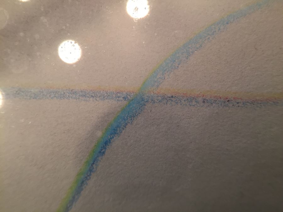 Framed Peter Max Still Life Print HAND SIGNED AND PERSONALIZED WITH FRAME BY PETER MAX 11' X 14' [Photo 6]