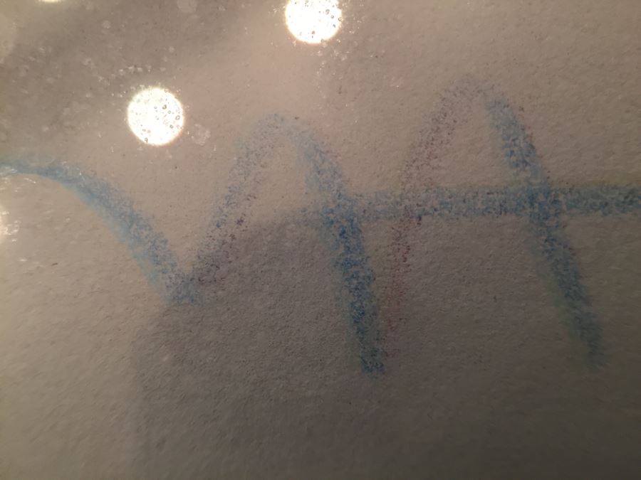 Framed Peter Max Still Life Print HAND SIGNED AND PERSONALIZED WITH FRAME BY PETER MAX 11' X 14' [Photo 5]