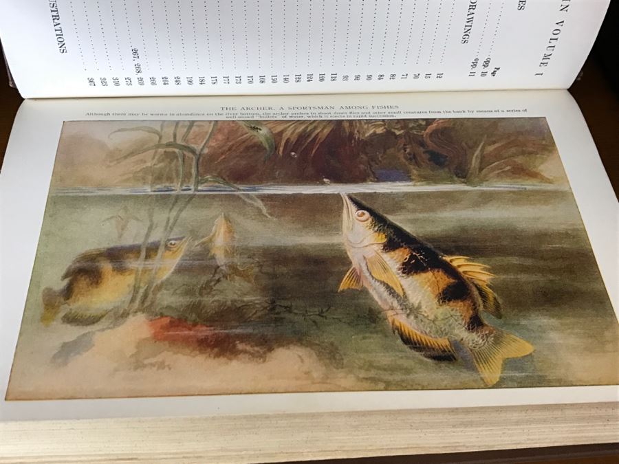 Set Of 4 Vintage 1922 Books 'The Human Interest Library' Visualized Knowledge Midland Press [Photo 15]