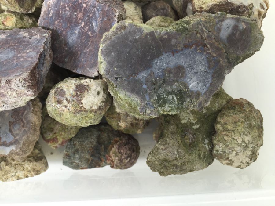 Box Full Of Polished Rocks [Photo 8]