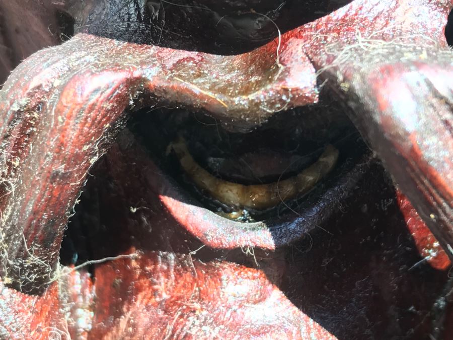 Large Carved Wooden Chinese Elder Wise Man Surrounded By Animals 32' Tall Without Staff - Note Top Of Staff Has Broken Off Fairly Clean Break - See Photos [Photo 15]