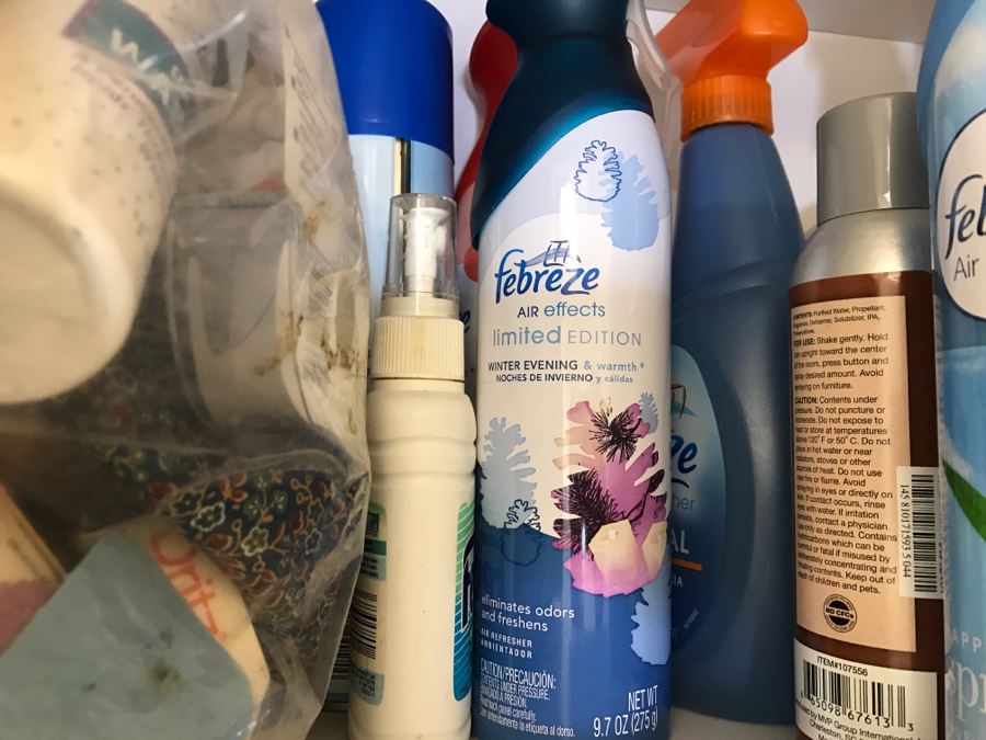 Cleaning Supplies Lot With Iron [Photo 8]