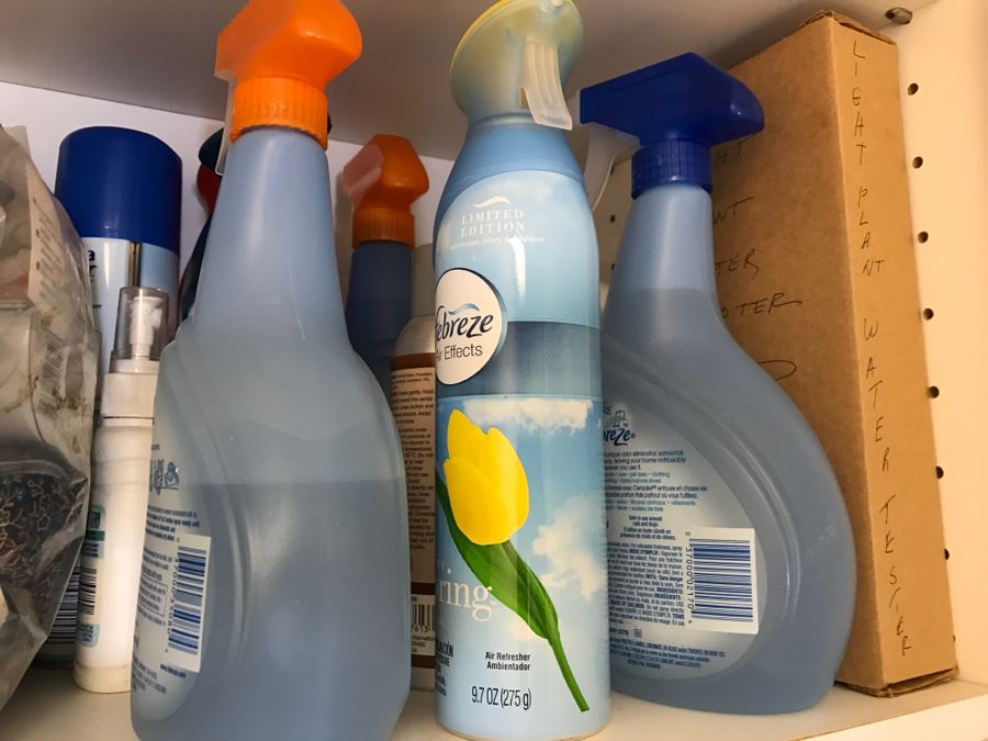 Cleaning Supplies Lot With Iron [Photo 6]