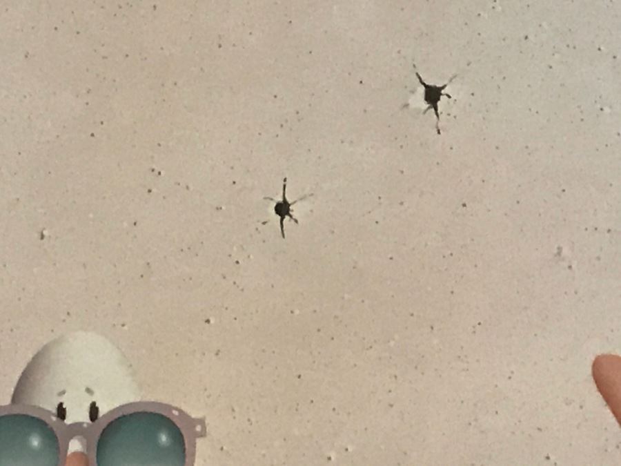 Limited Edition Hand Signed 'Bedard' Print Titled 'Sitting Ducks' 7 Of 450 [Photo 5]