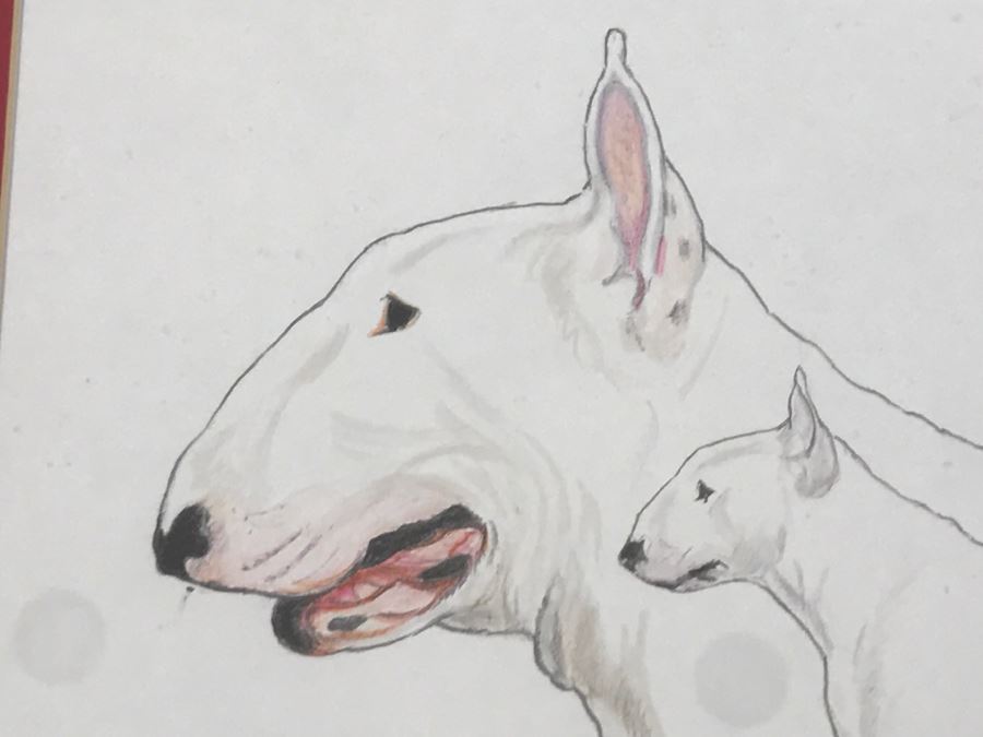 Framed Original Drawing Of Bull Terriers Signed By S Hunter [Photo 3]