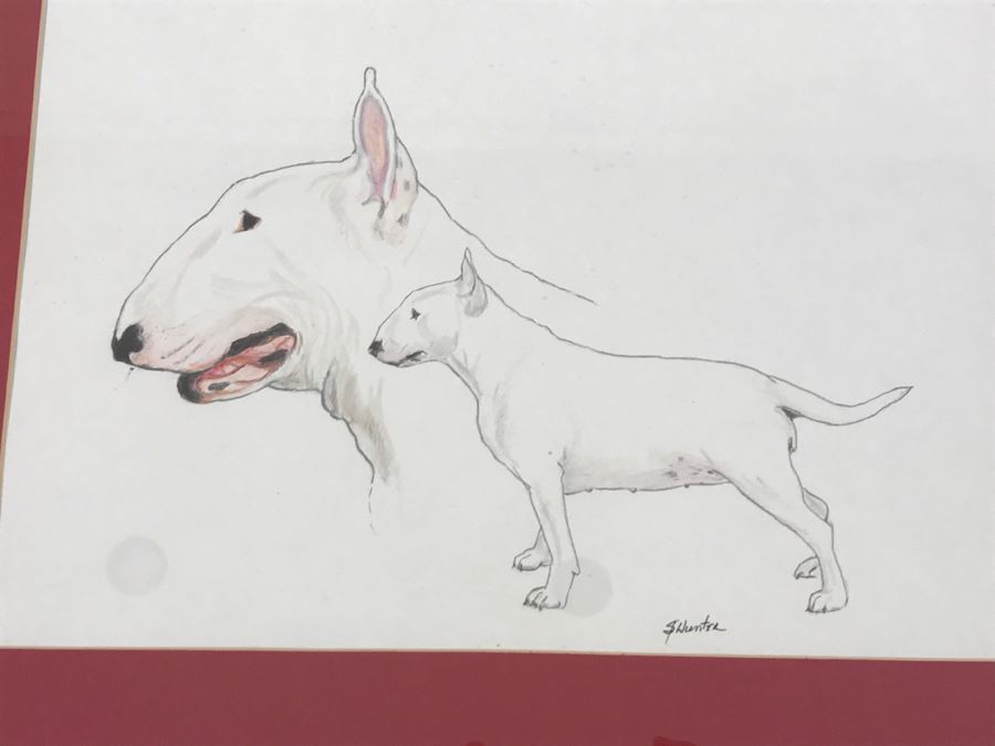 Framed Original Drawing Of Bull Terriers Signed By S Hunter