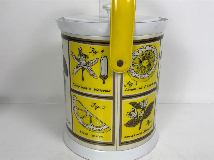 Vintage Anatomy Of A Lemon Ice Bucket With Slight Crack In Top Of Lid [Photo 8]