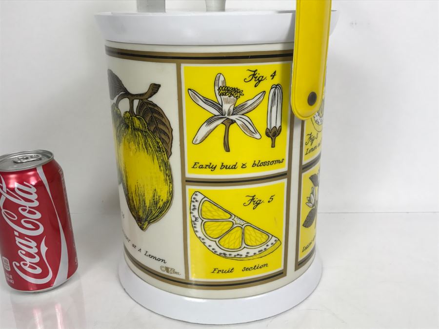 Vintage Anatomy Of A Lemon Ice Bucket With Slight Crack In Top Of Lid [Photo 5]