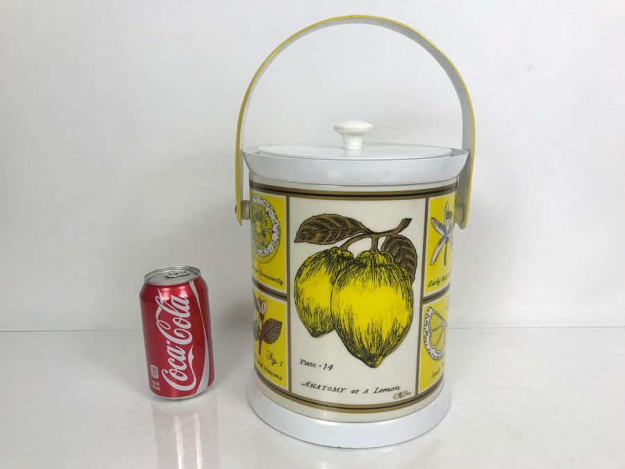 Vintage Anatomy Of A Lemon Ice Bucket With Slight Crack In Top Of Lid [Photo 2]