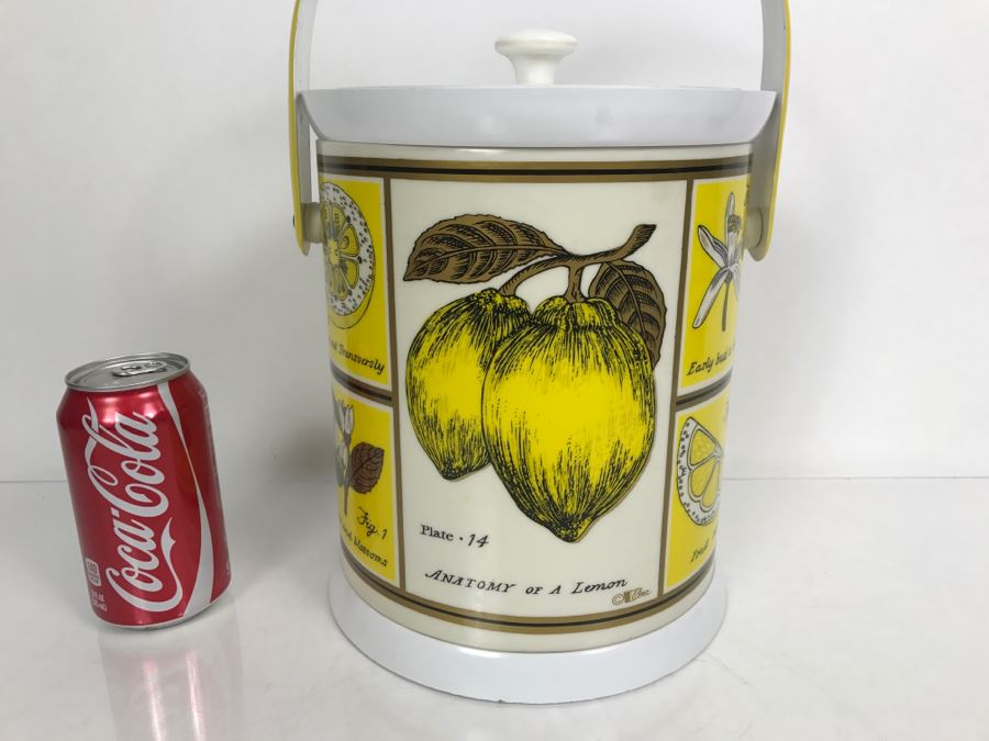 Vintage Anatomy Of A Lemon Ice Bucket With Slight Crack In Top Of Lid