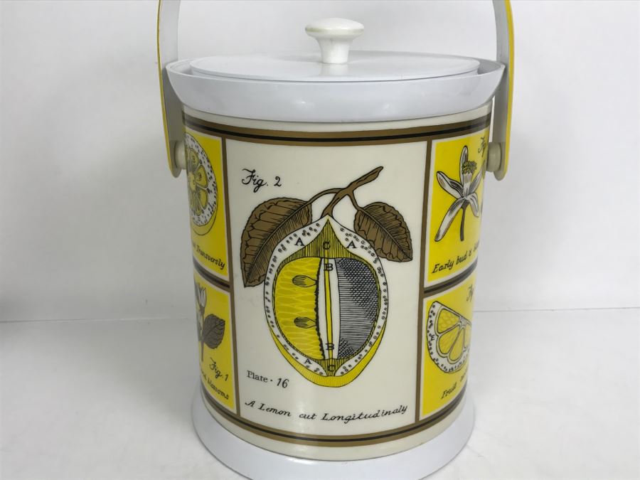 Vintage Anatomy Of A Lemon Ice Bucket With Slight Crack In Top Of Lid [Photo 7]