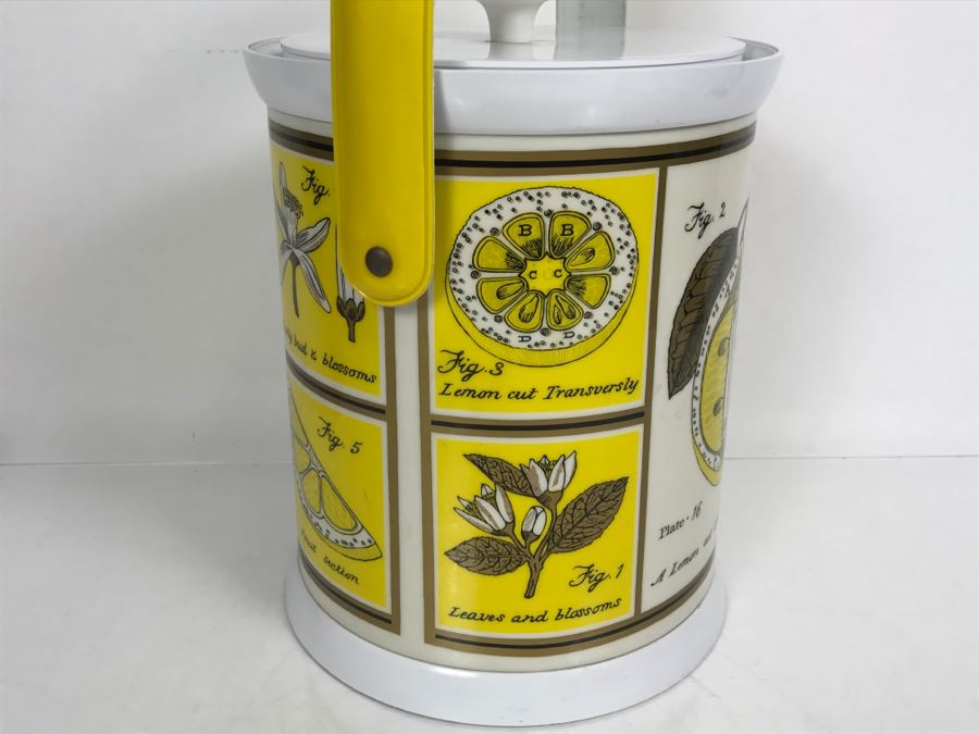 Vintage Anatomy Of A Lemon Ice Bucket With Slight Crack In Top Of Lid [Photo 6]
