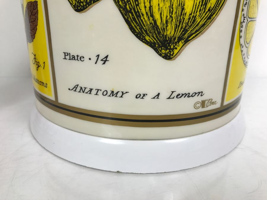 Vintage Anatomy Of A Lemon Ice Bucket With Slight Crack In Top Of Lid [Photo 3]