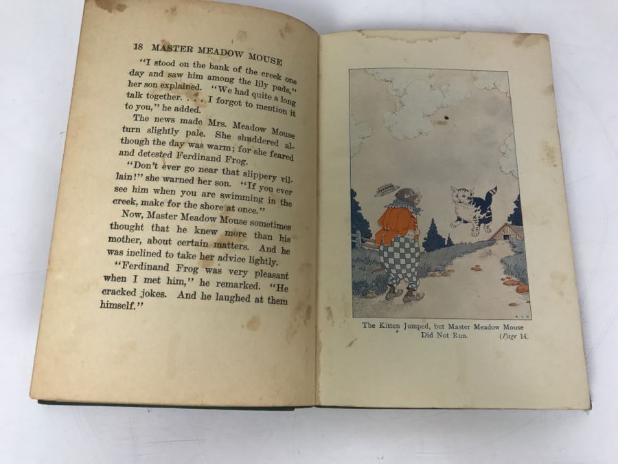 Vintage 1921 Book The Tale Of Master Meadow Mouse By Arthur Scott Bailey Sleepy-Time Tales [Photo 9]